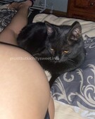 Анкета проститутки Надежда - метро Ясенево, возраст - 23